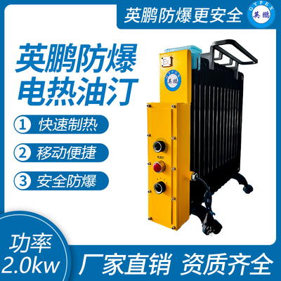 防爆电热油汀-11片