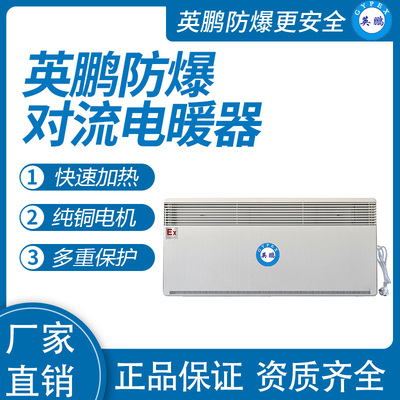 防爆对流电暖器BYT-25DLB
