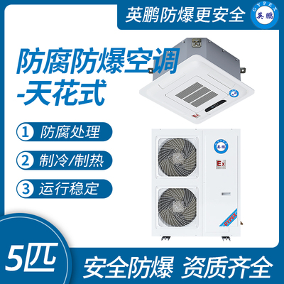 嵌入式防腐防爆空调-5匹