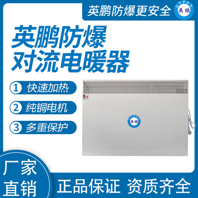防爆对流电暖器BYT-15DL