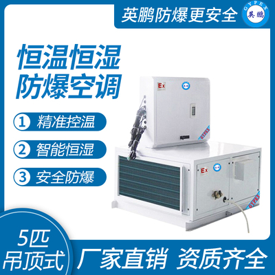 英鹏防爆空调-恒温恒湿系列5匹