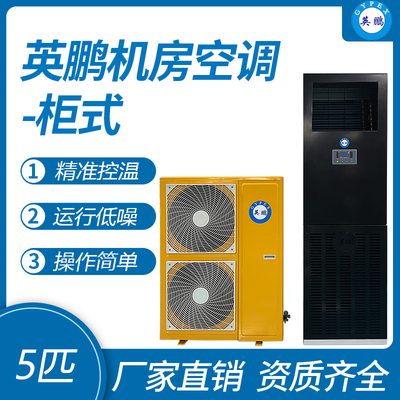 英鹏柜式机房空调-5匹