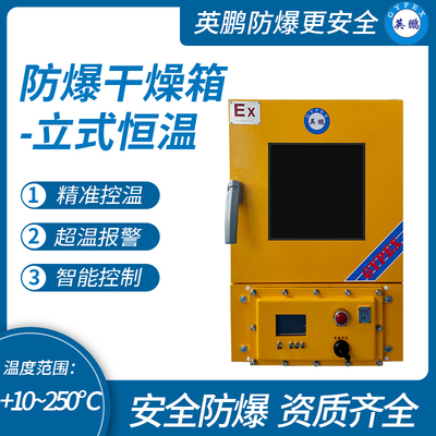 防爆立式恒温干燥箱65L