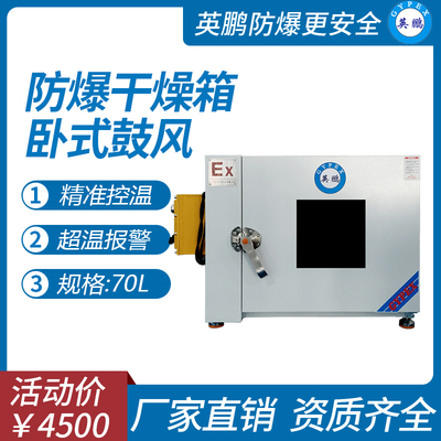 英鹏防爆鼓风干燥箱-70L