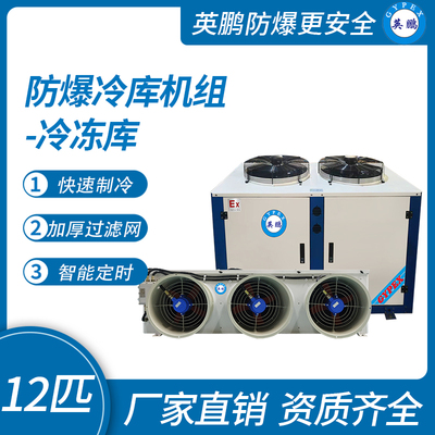 防爆冷库机组-冷冻库12匹