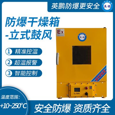 防爆立式鼓风干燥箱125L