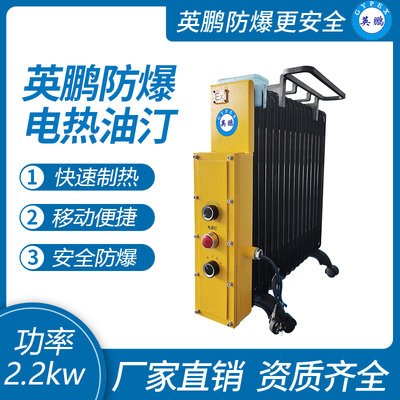 防爆电热油汀-13片