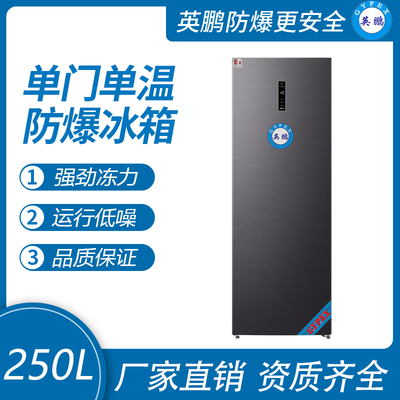 单门单温防爆冰箱250L