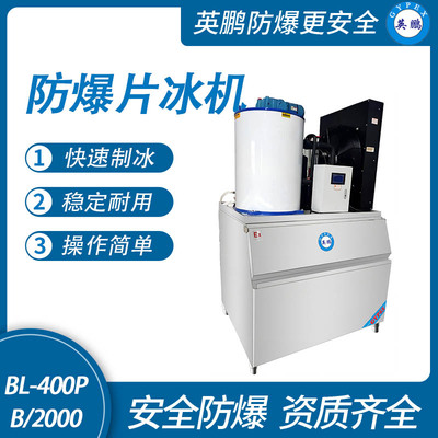 防爆分体式片冰机-2000