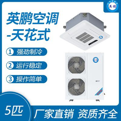 英鹏天花式空调-5匹