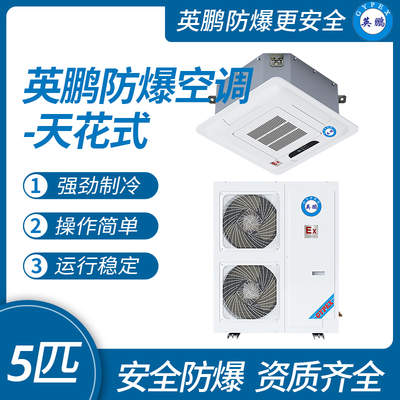英鹏防爆空调（吸顶式）
