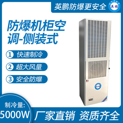 防爆机柜空调-侧装式5000W