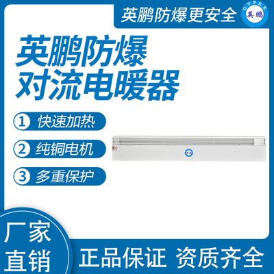 防爆对流电暖器BYT-25DLA